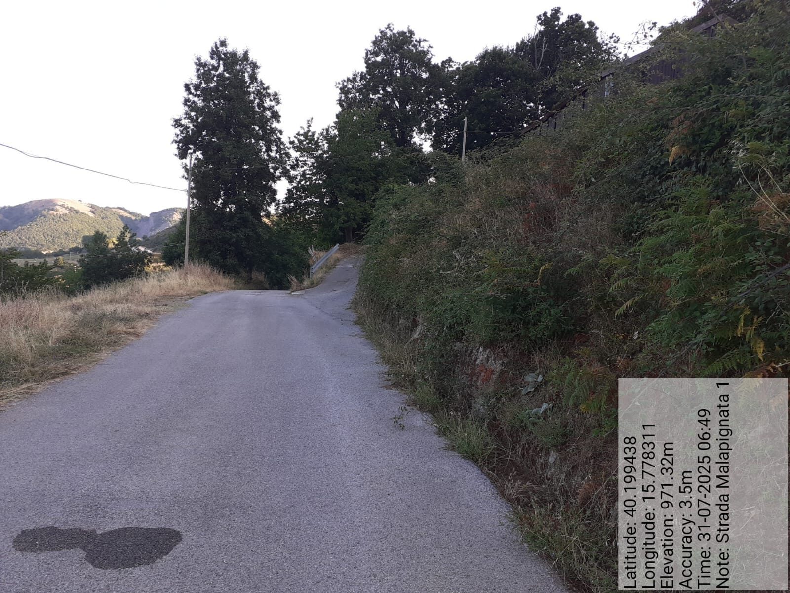 Galleria Fotografica Immagine