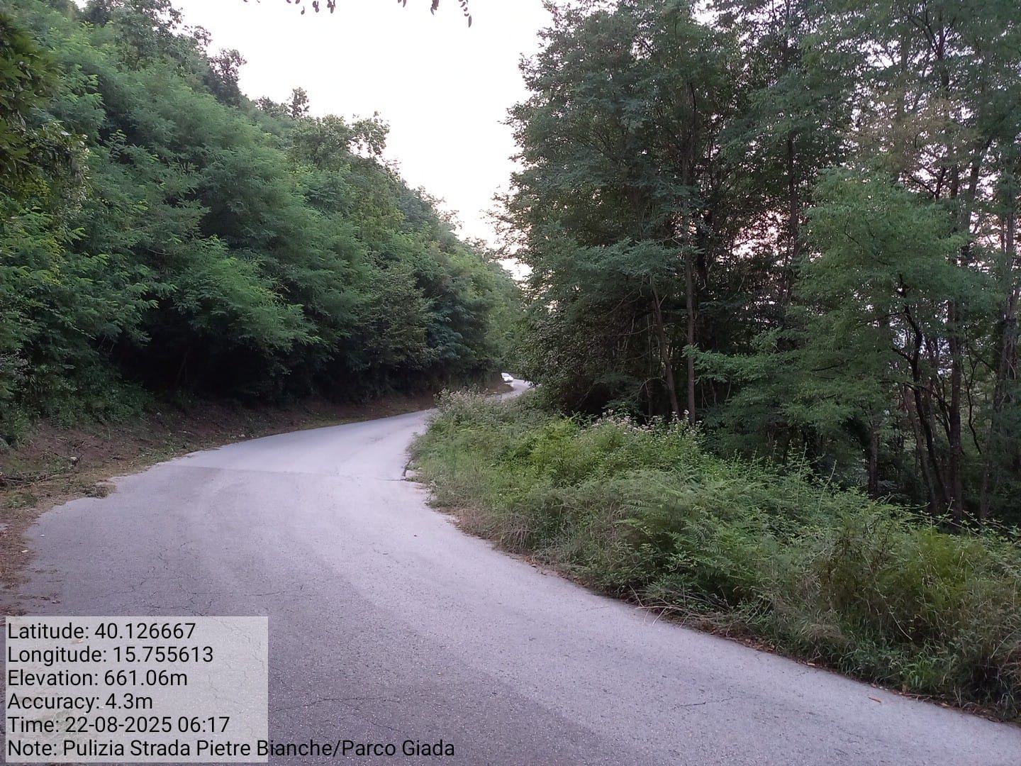 Galleria Fotografica Immagine