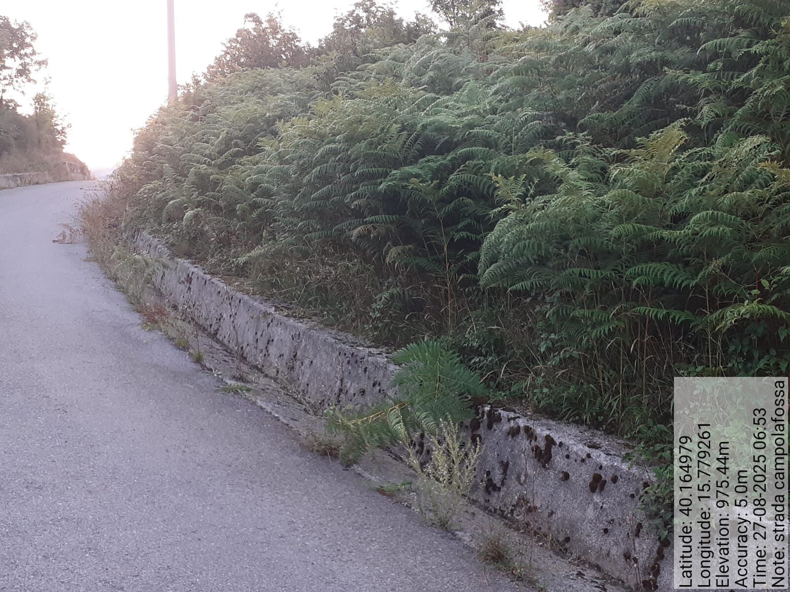 Galleria Fotografica Immagine