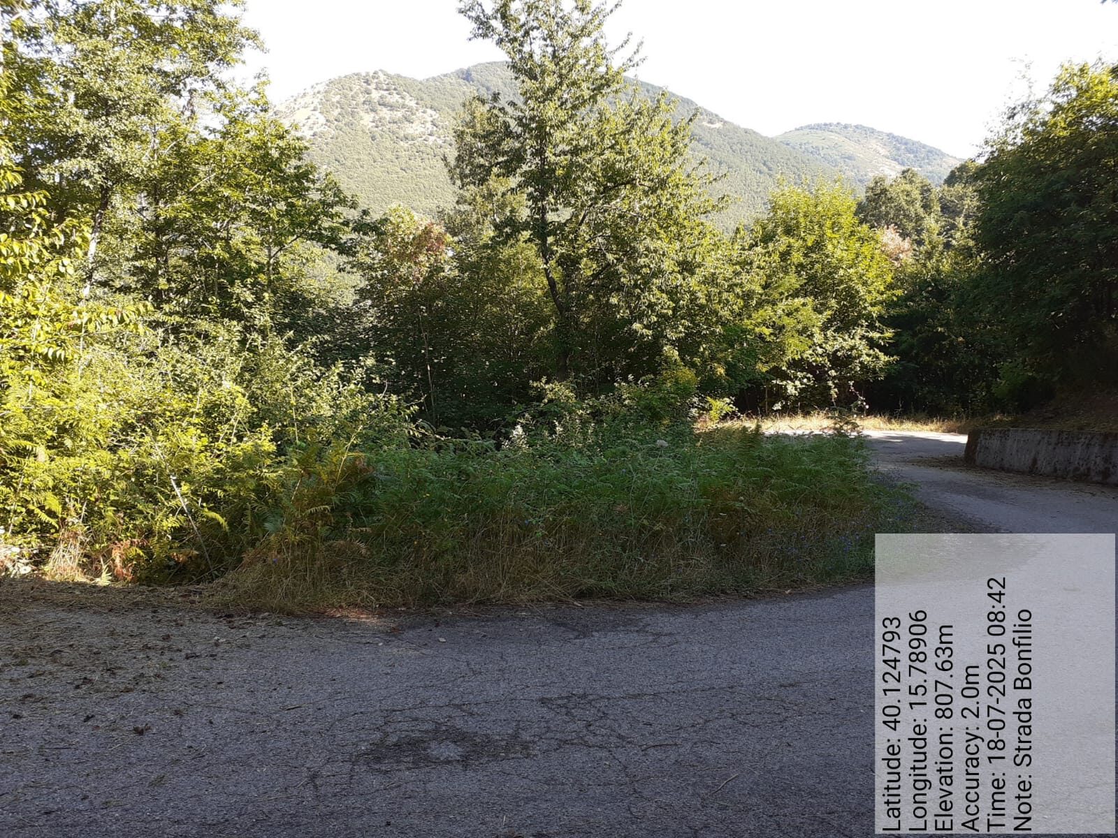 Galleria Fotografica Immagine