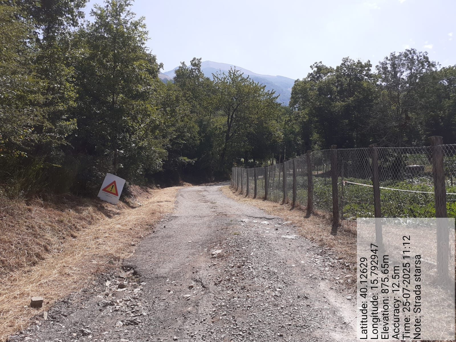 Galleria Fotografica Immagine