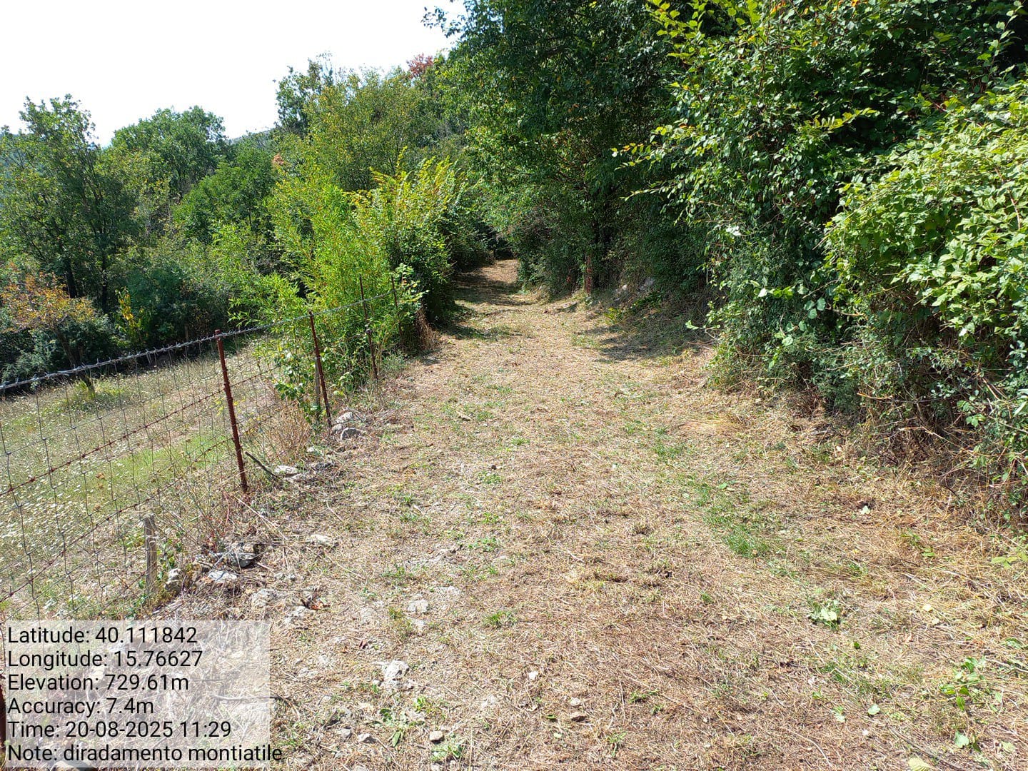 Galleria Fotografica Immagine