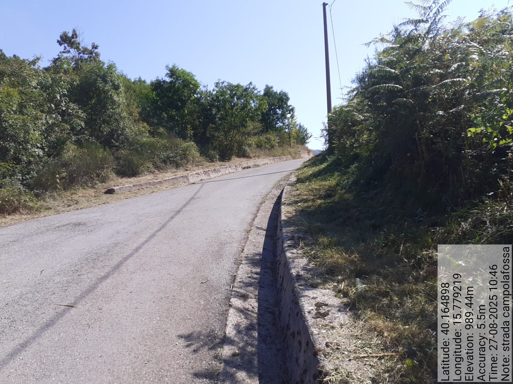 Galleria Fotografica Immagine