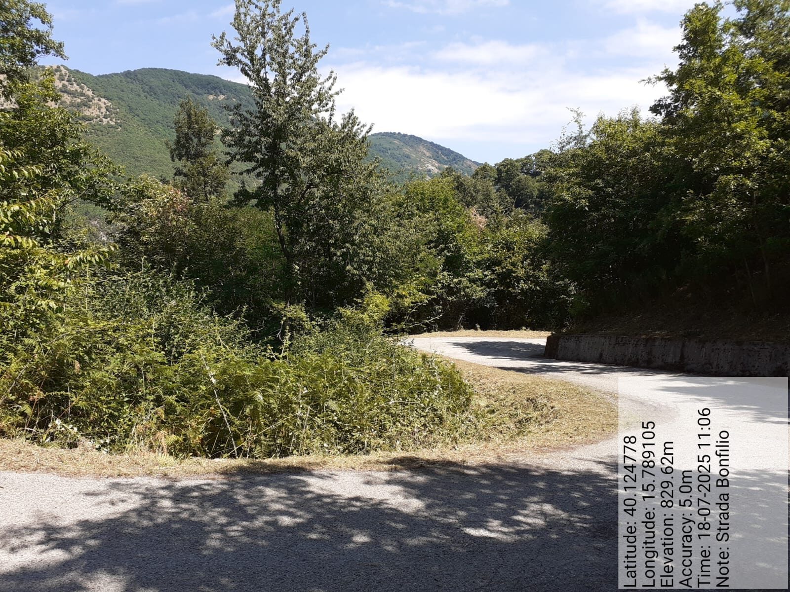 Galleria Fotografica Immagine