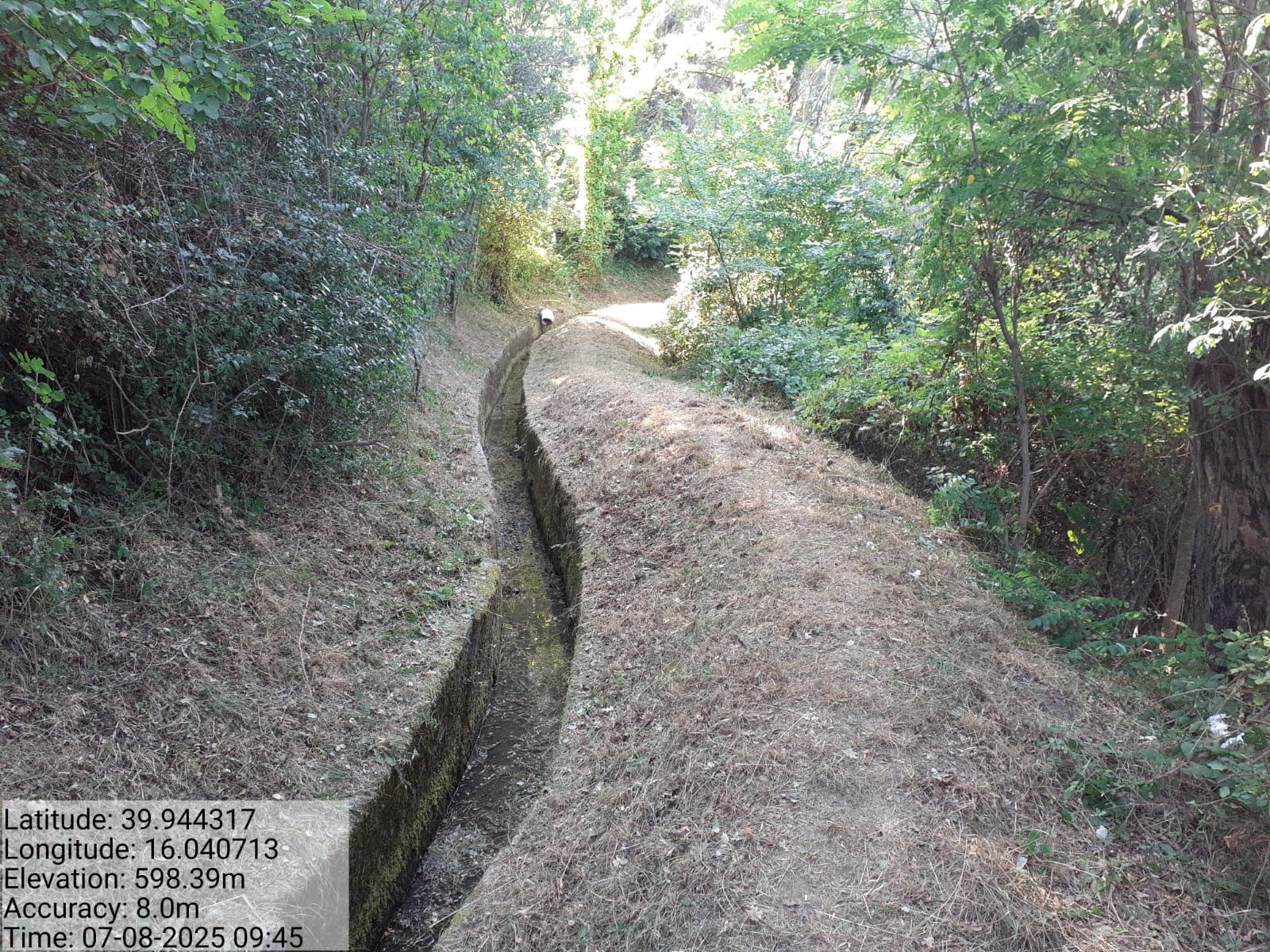 Galleria Fotografica Immagine