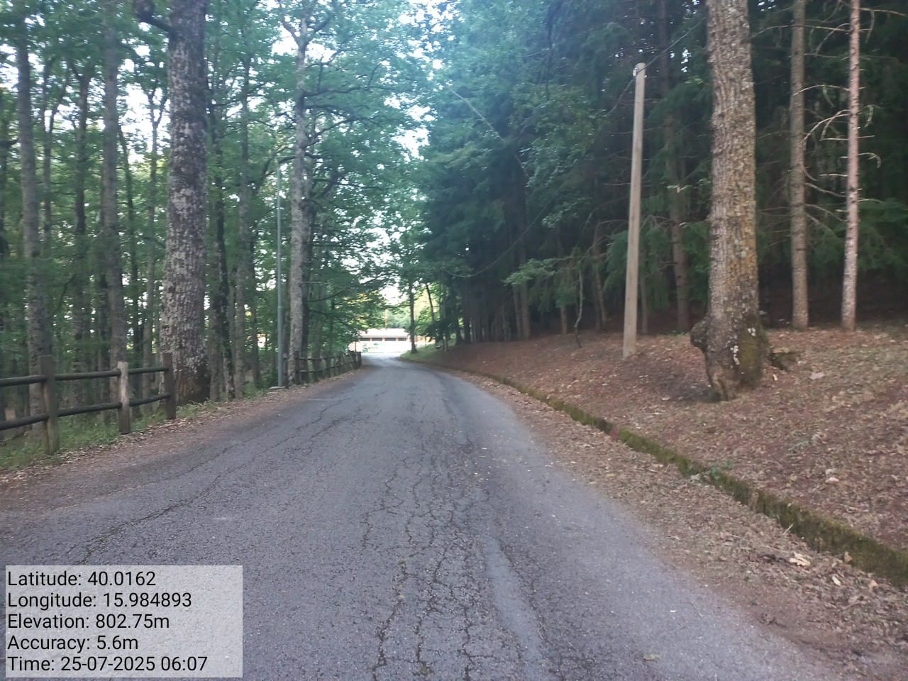 Galleria Fotografica Immagine