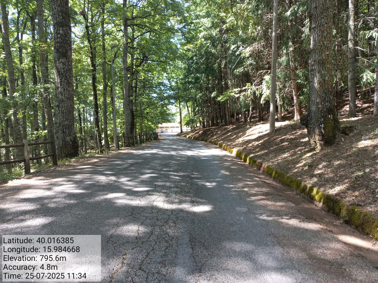 Galleria Fotografica Immagine