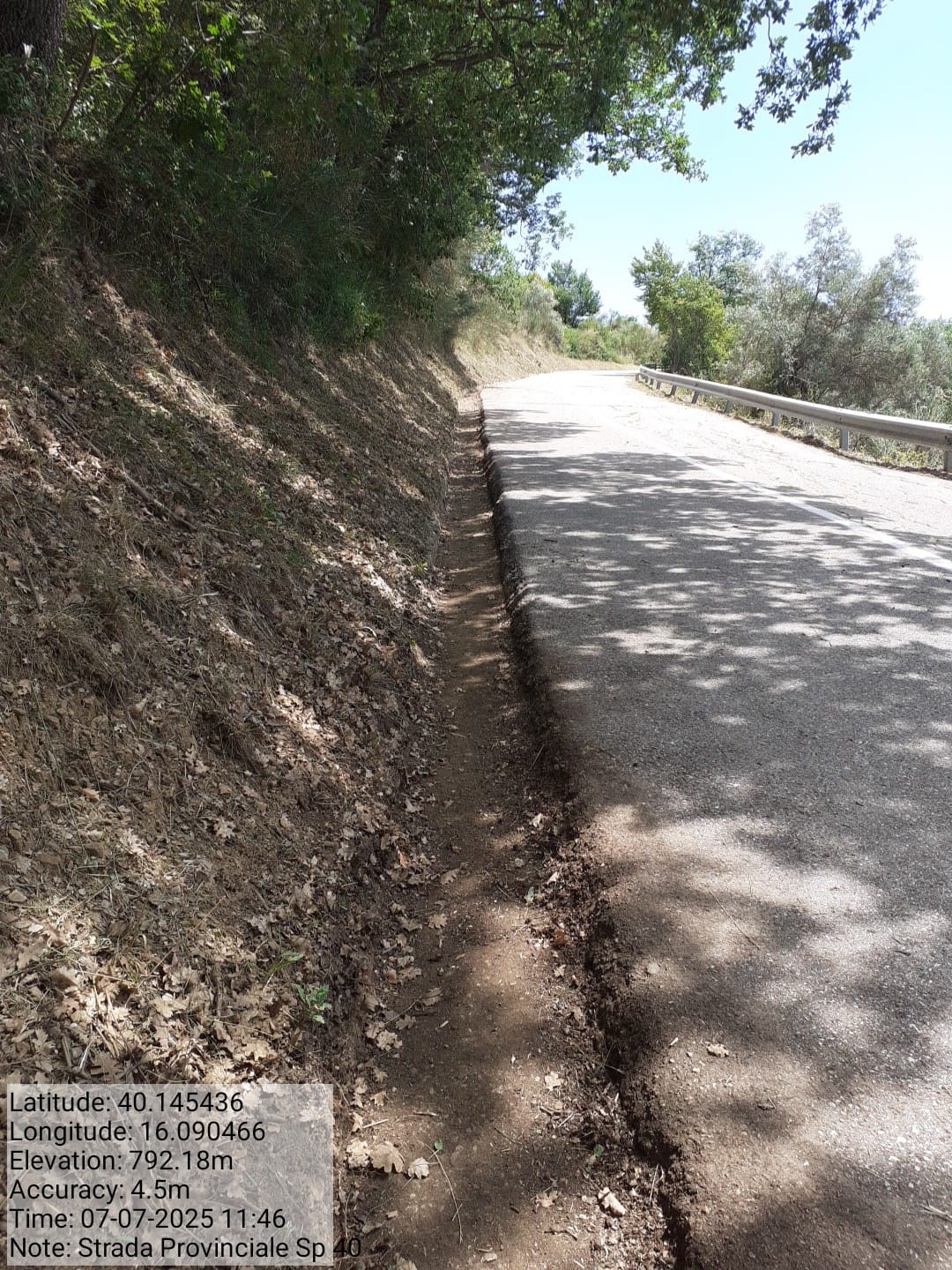 Galleria Fotografica Immagine