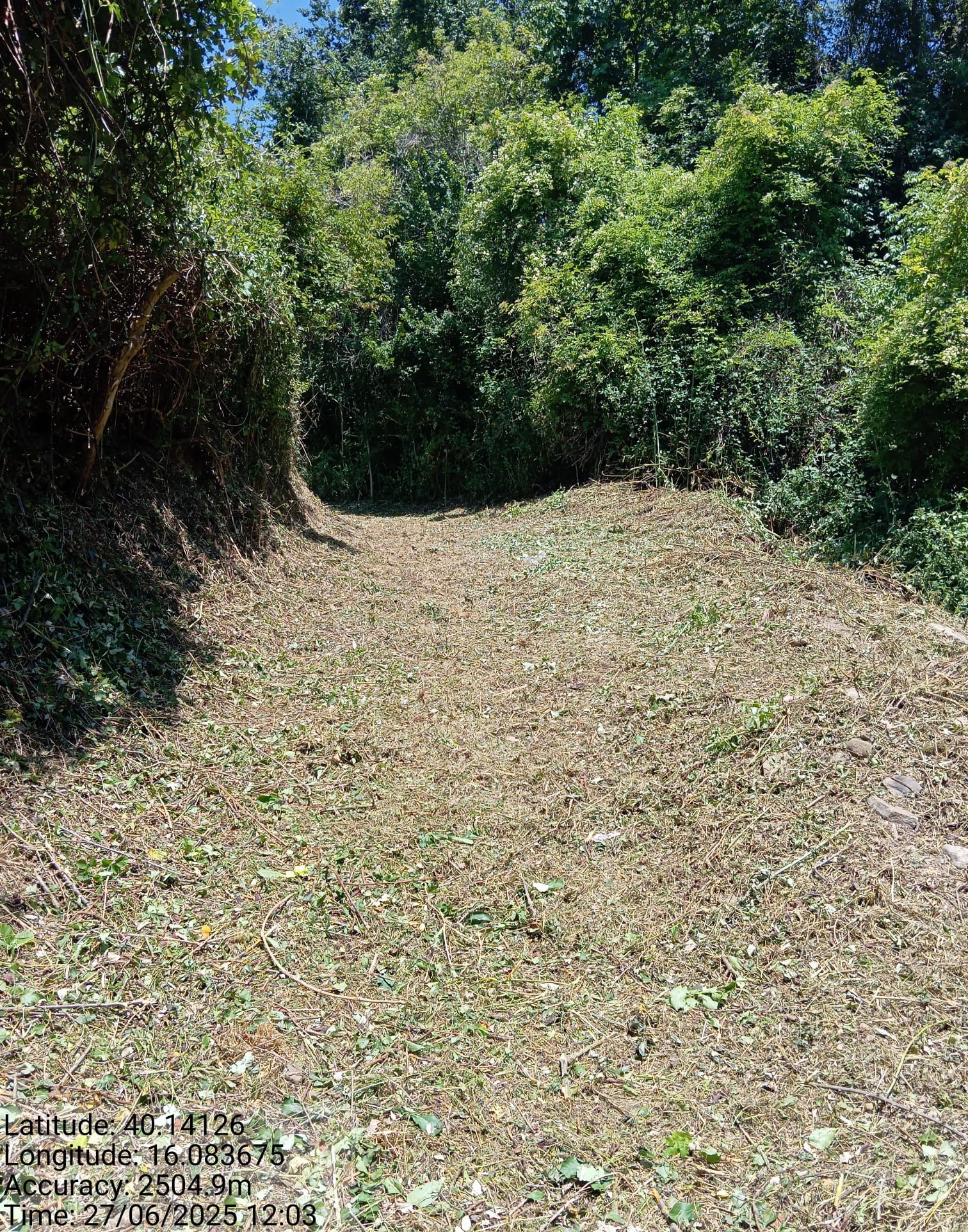 Galleria Fotografica Immagine