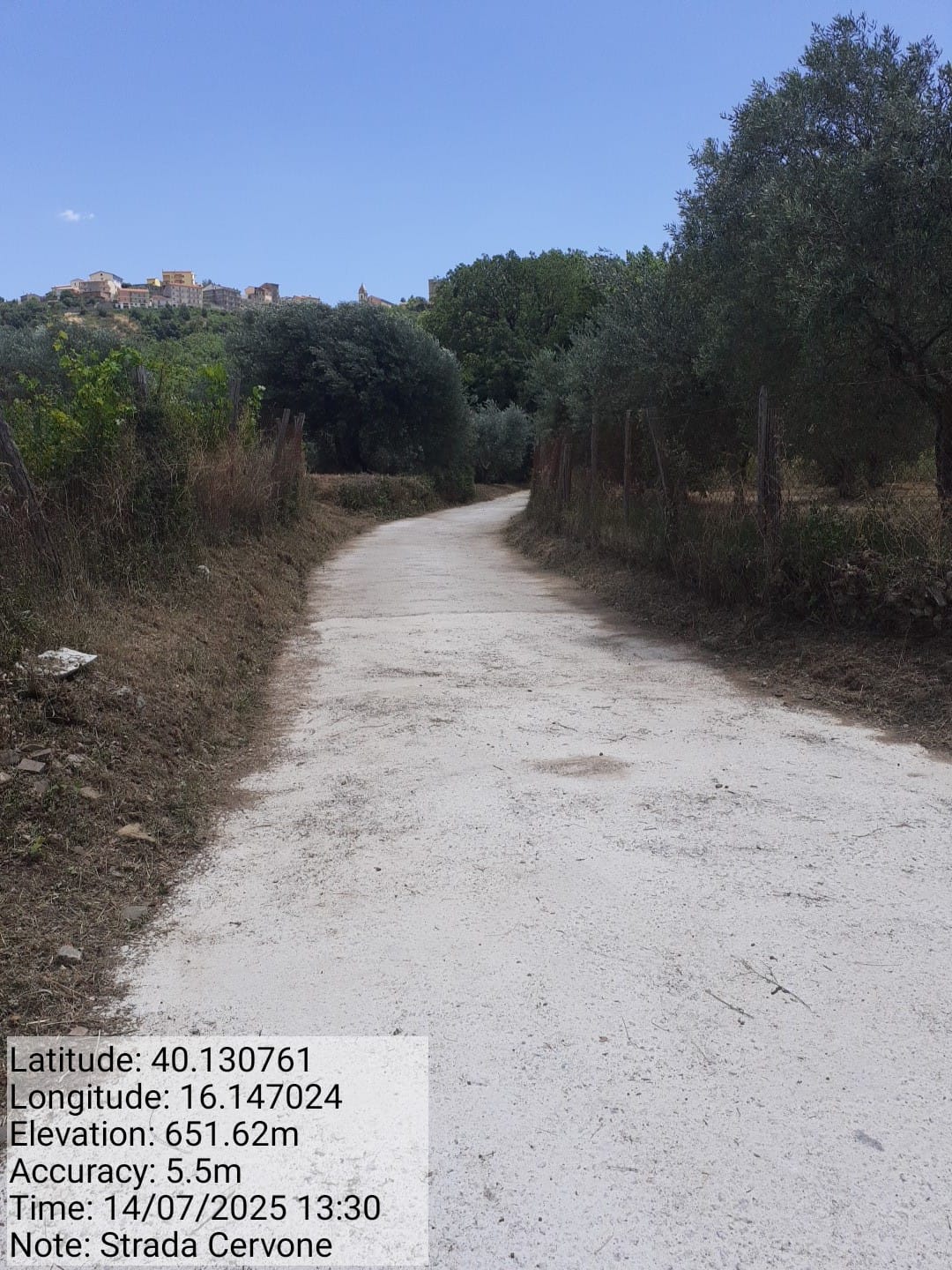 Galleria Fotografica Immagine