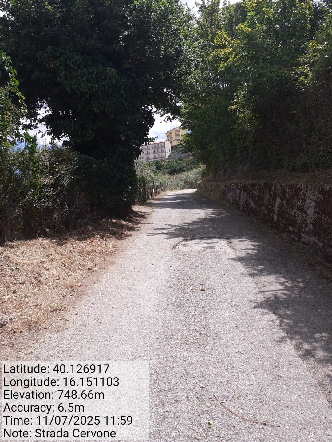 Galleria Fotografica Immagine