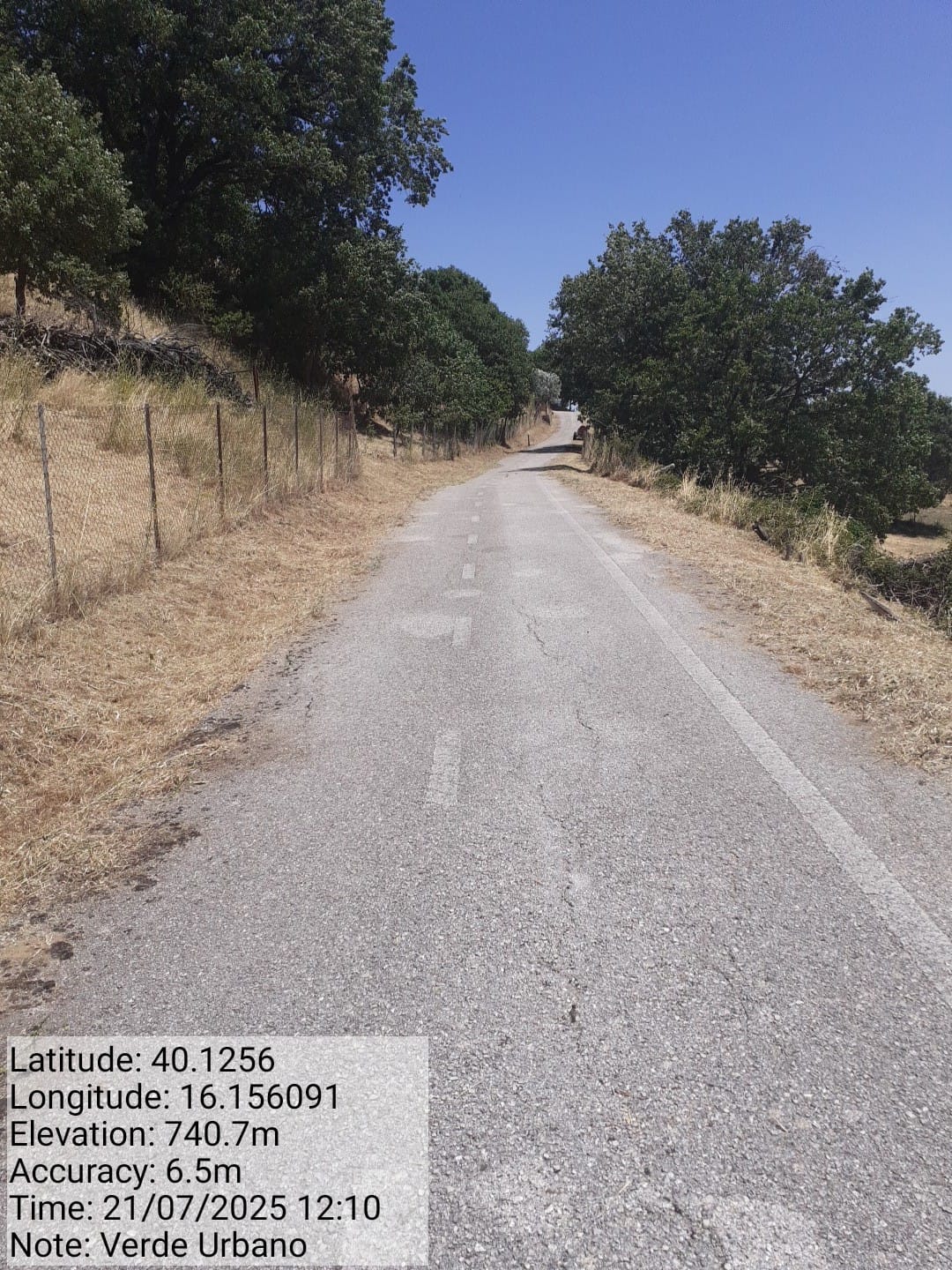 Galleria Fotografica Immagine