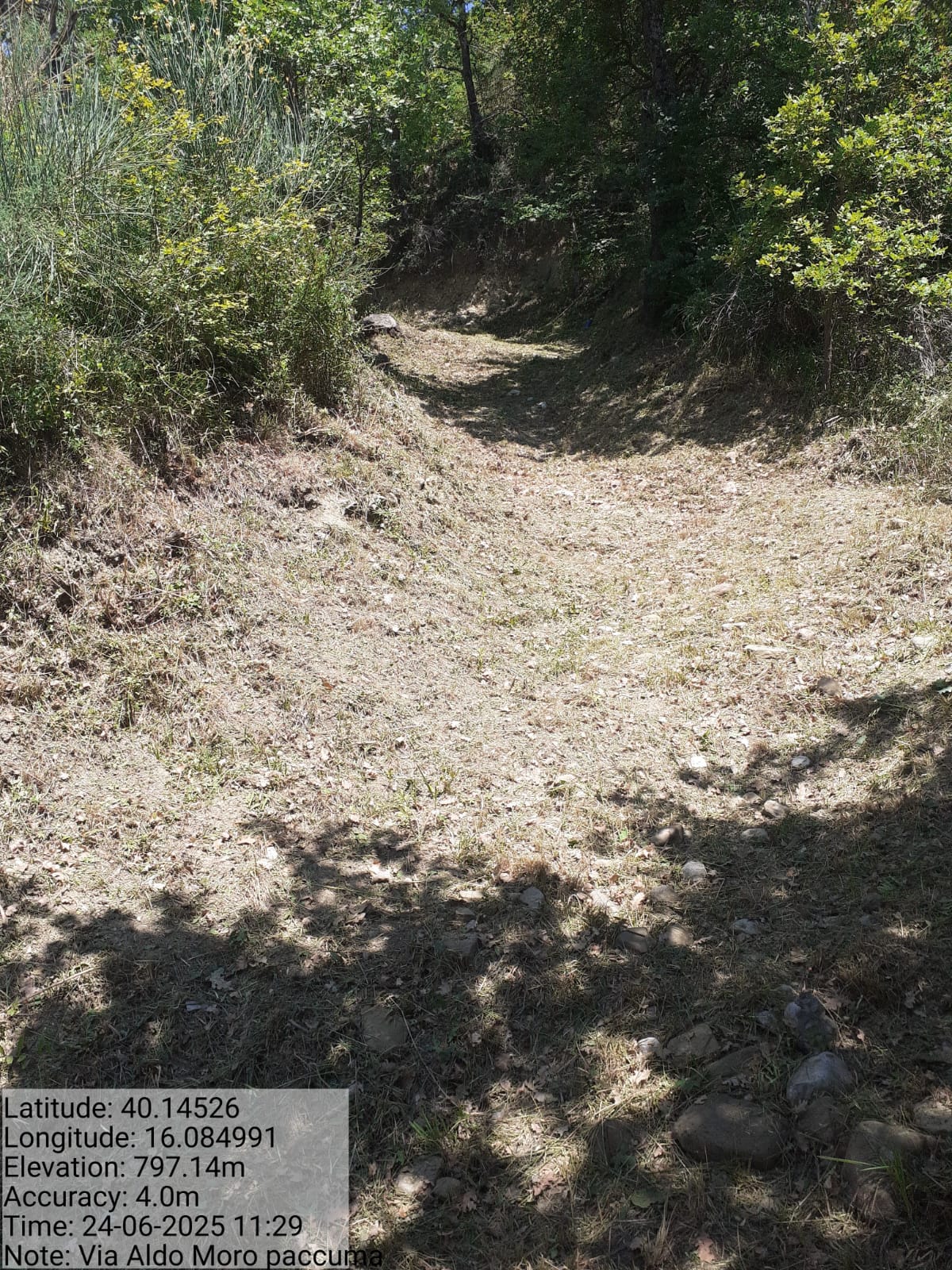 Galleria Fotografica Immagine