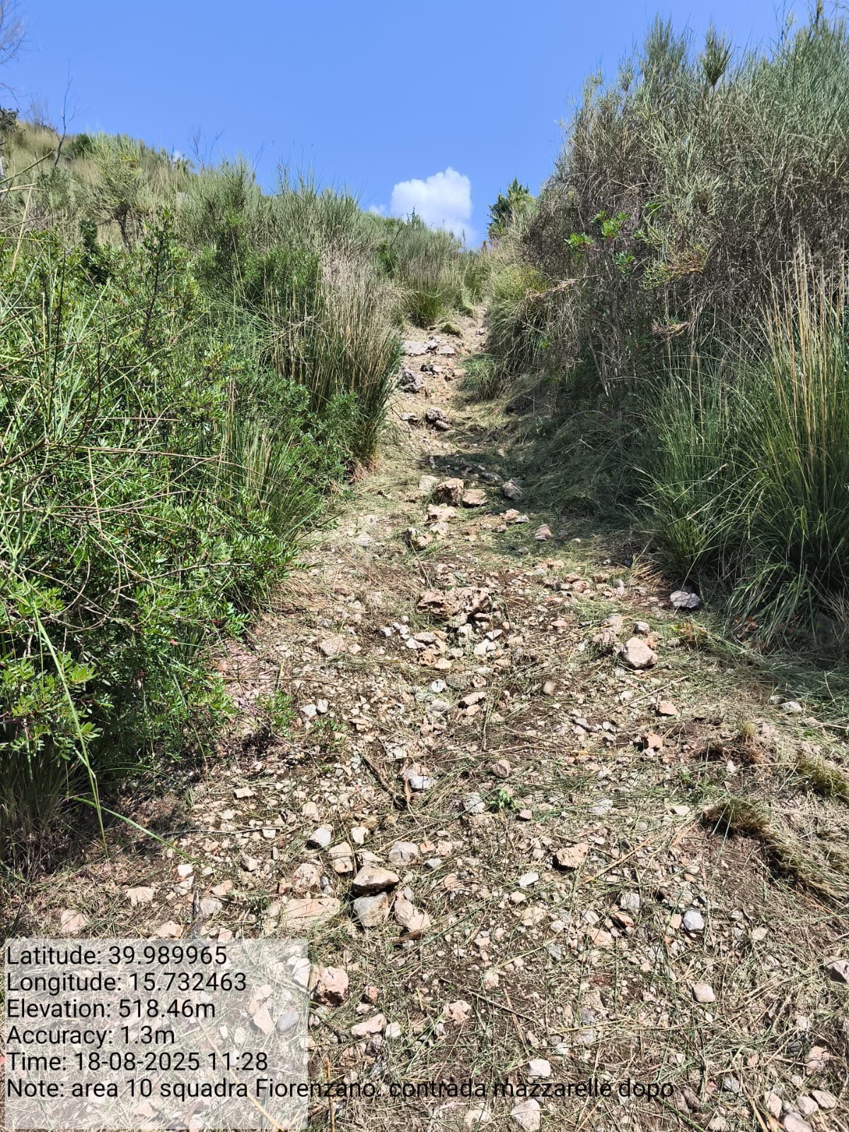 Galleria Fotografica Immagine