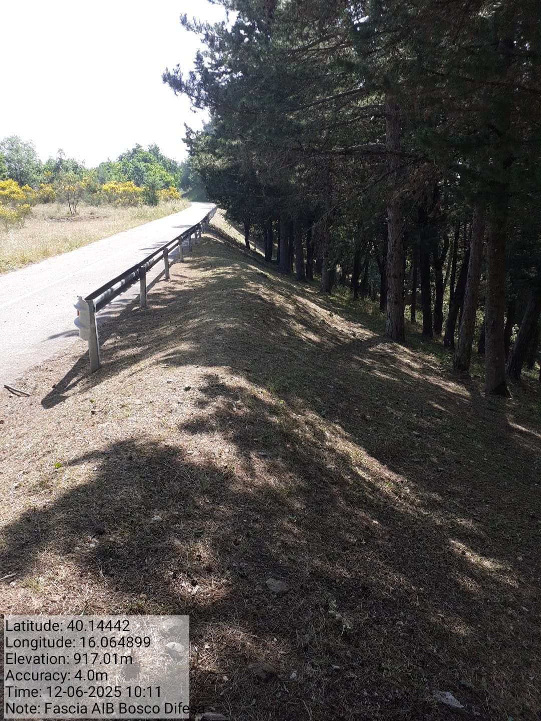 Galleria Fotografica Immagine