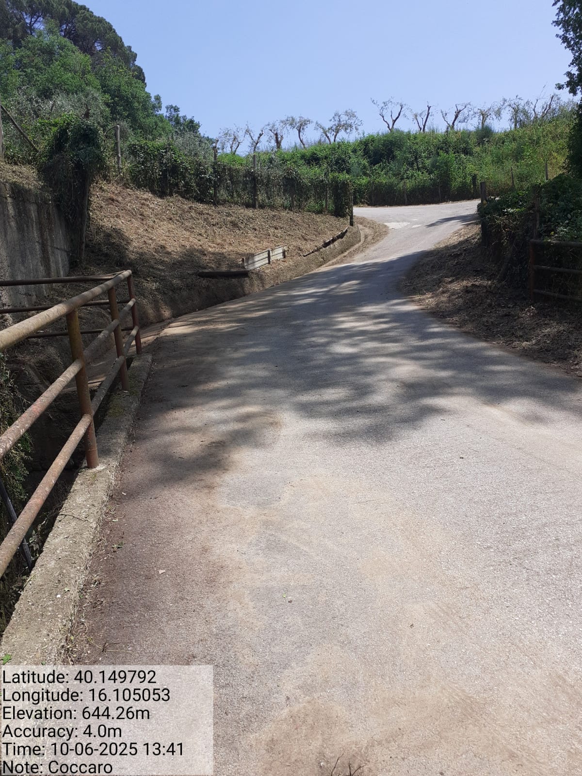 Galleria Fotografica Immagine