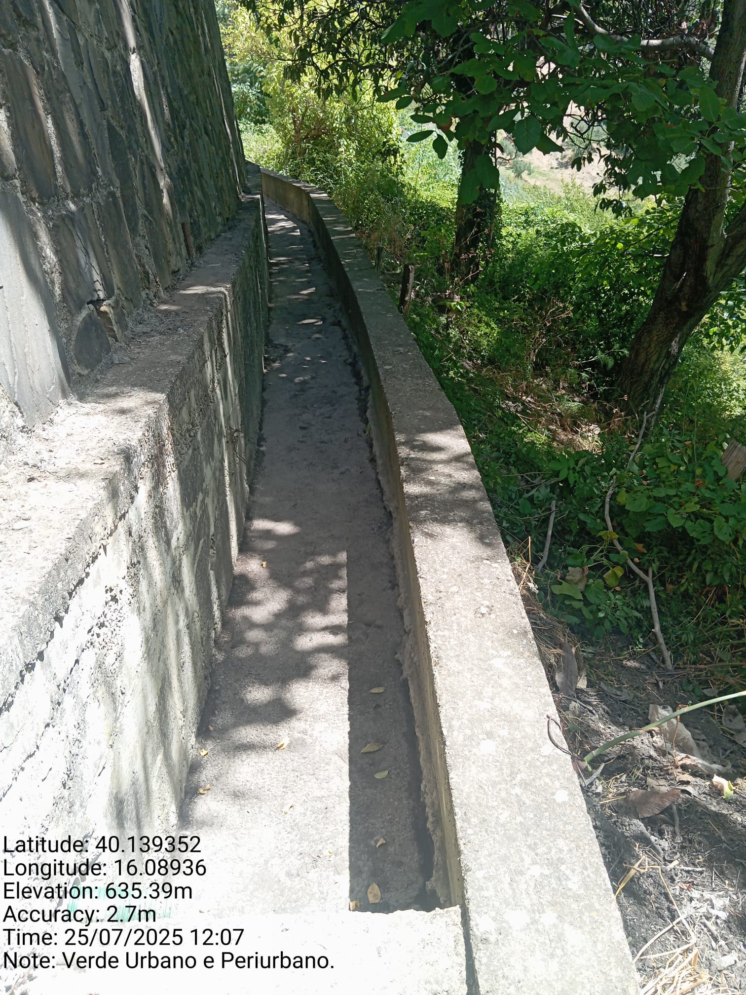 Galleria Fotografica Immagine