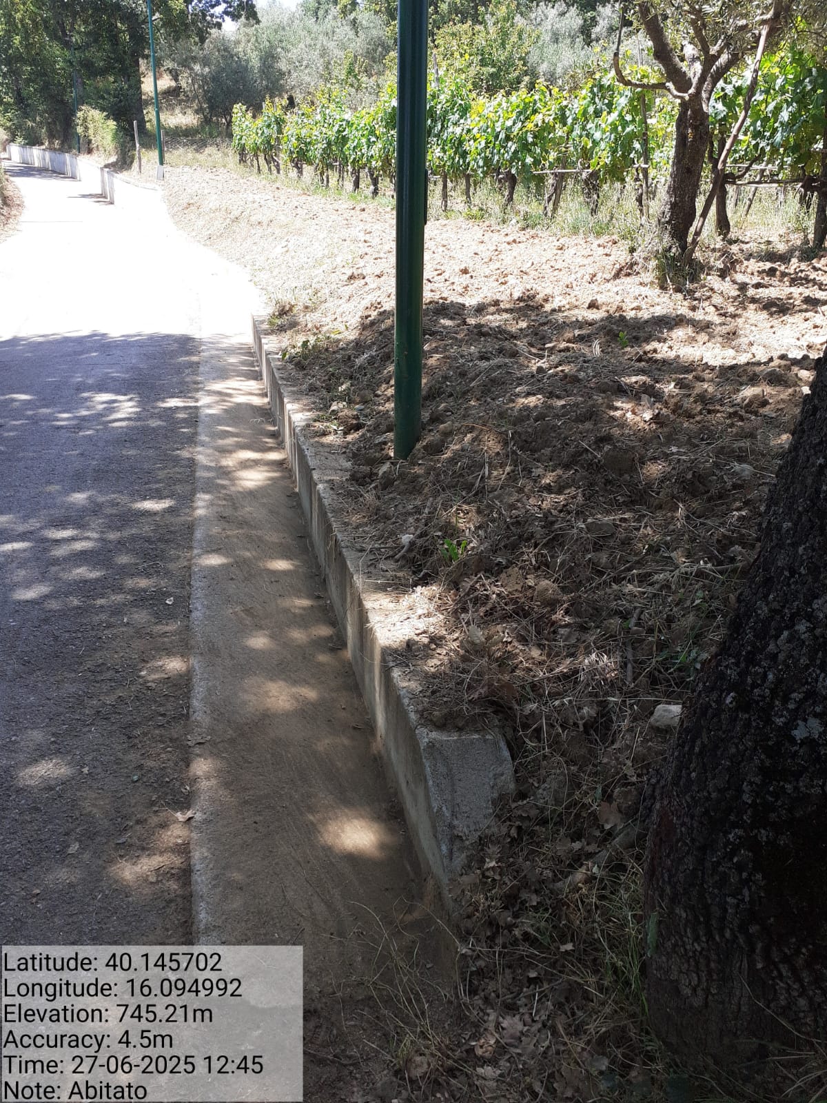 Galleria Fotografica Immagine