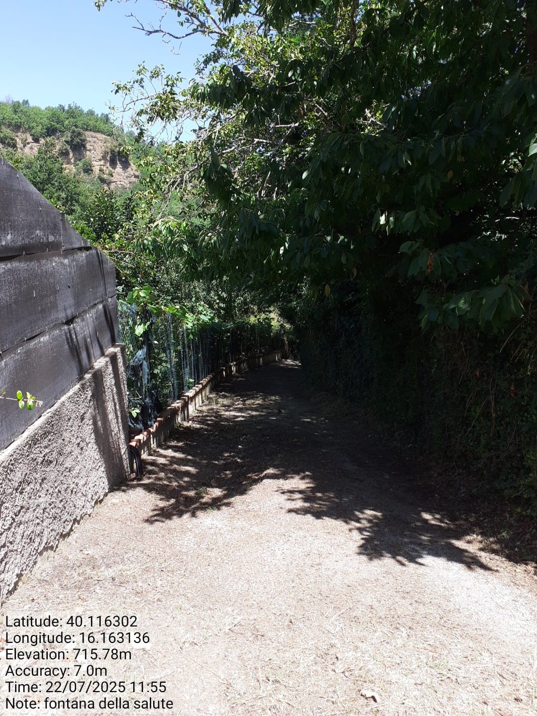 Galleria Fotografica Immagine