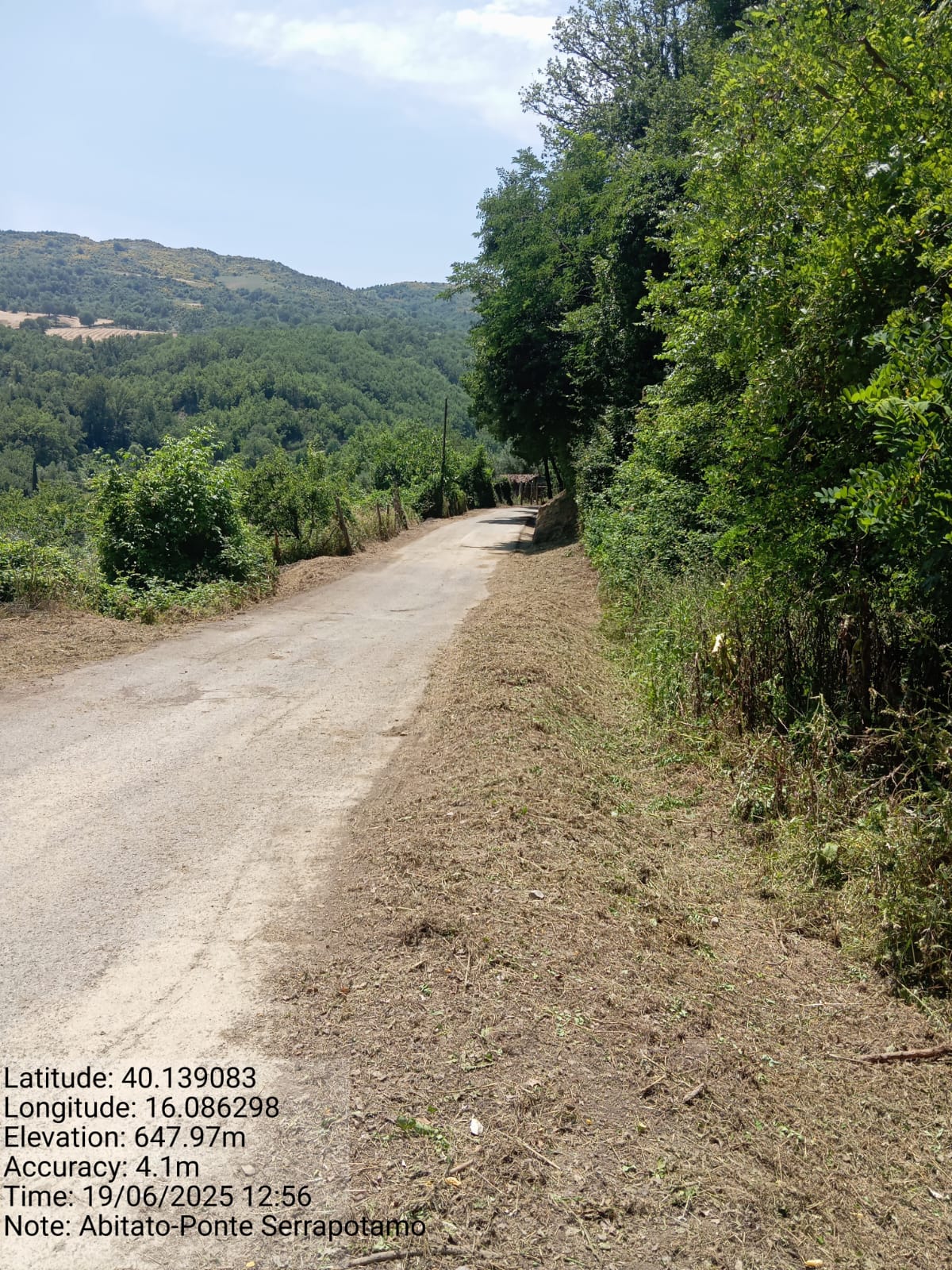 Galleria Fotografica Immagine