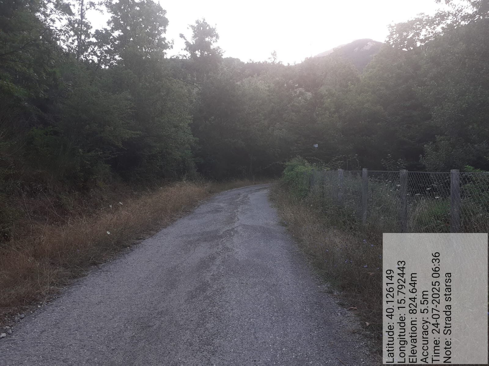 Galleria Fotografica Immagine