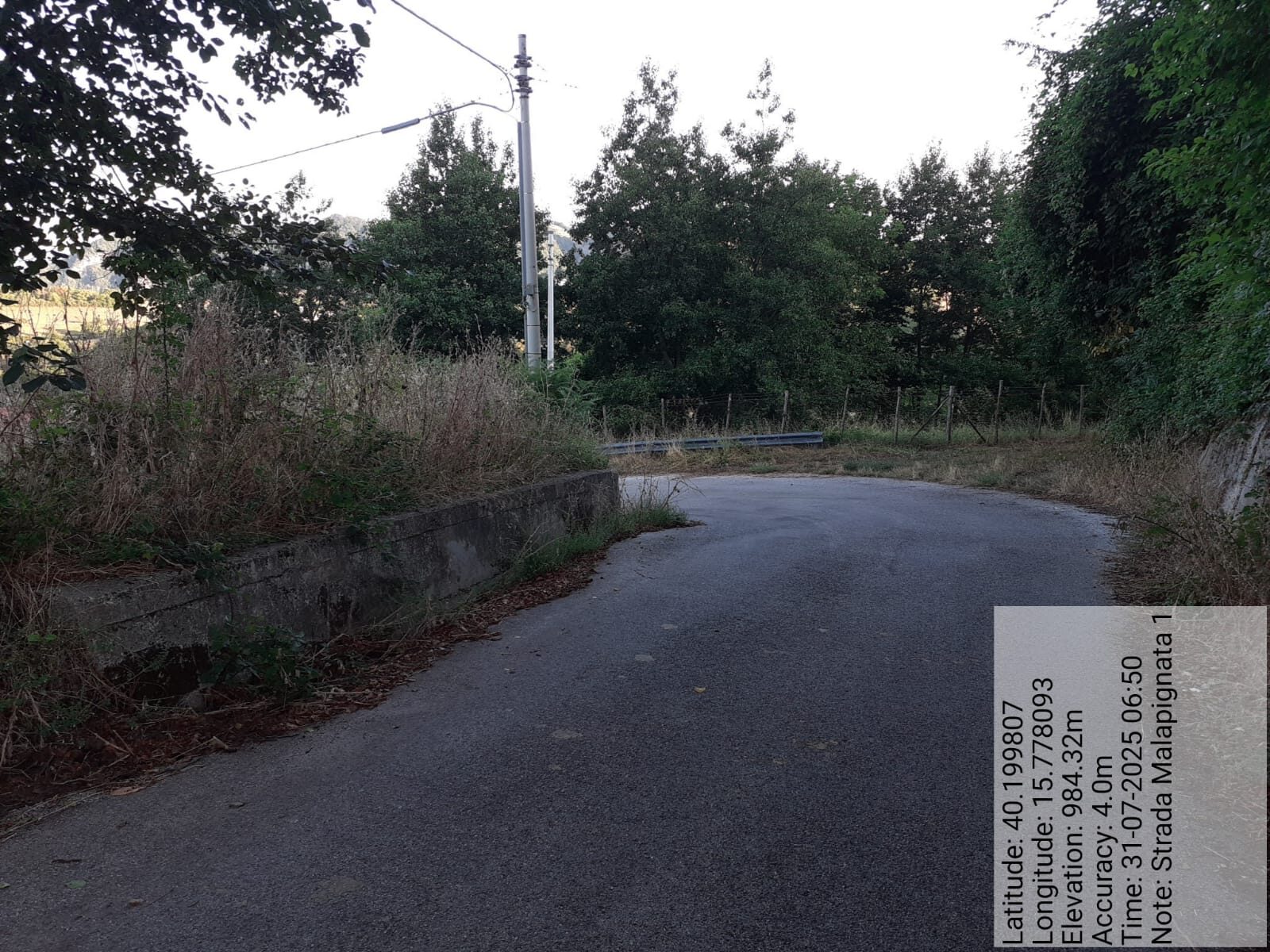 Galleria Fotografica Immagine