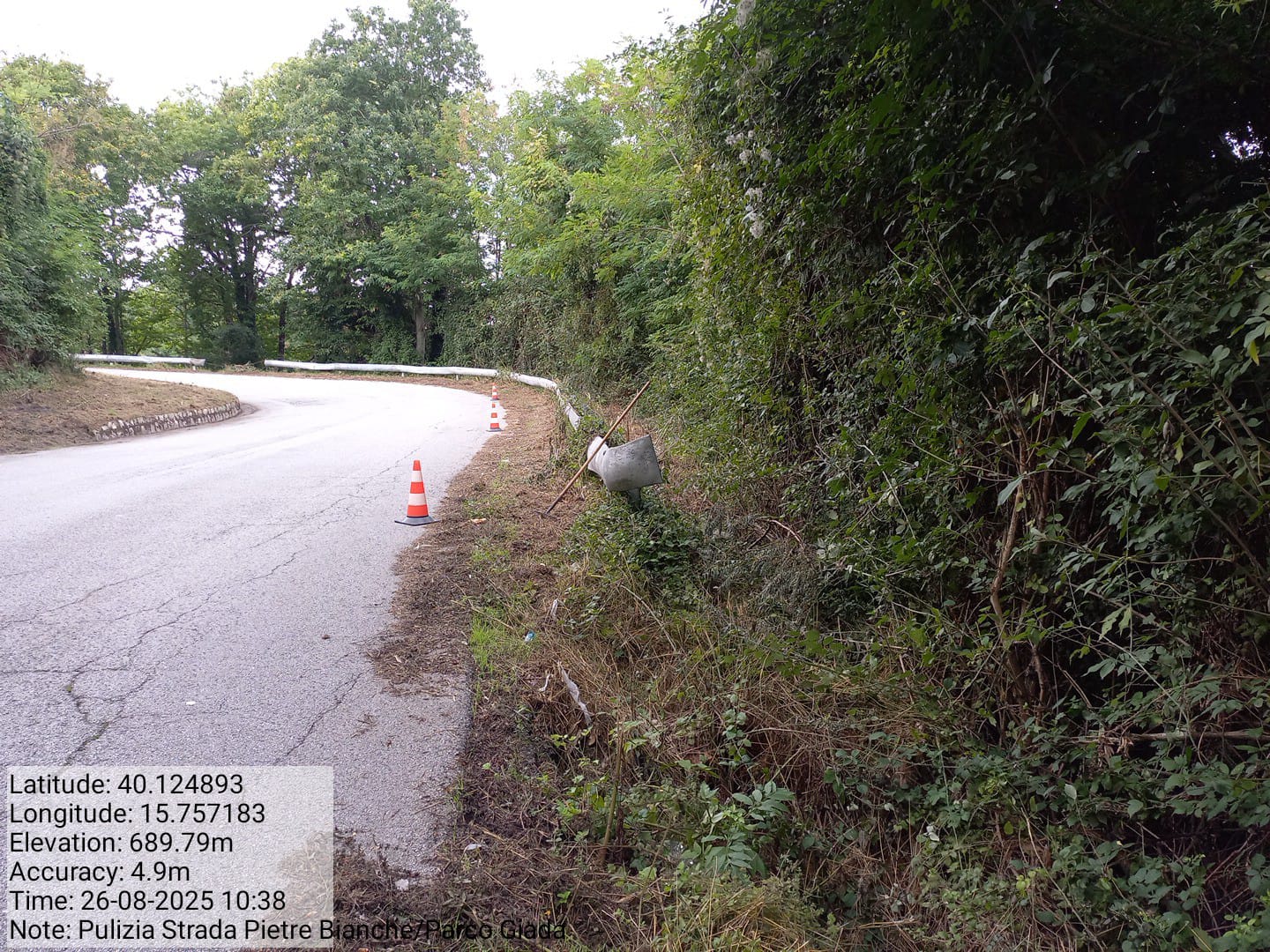 Galleria Fotografica Immagine