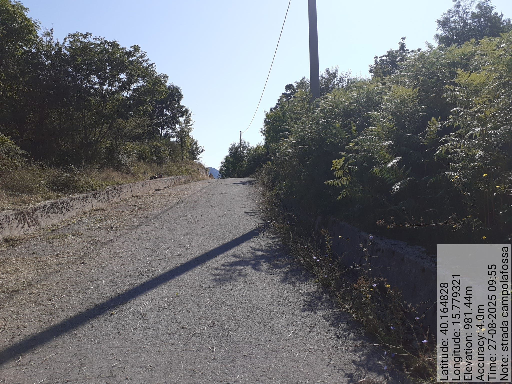 Galleria Fotografica Immagine