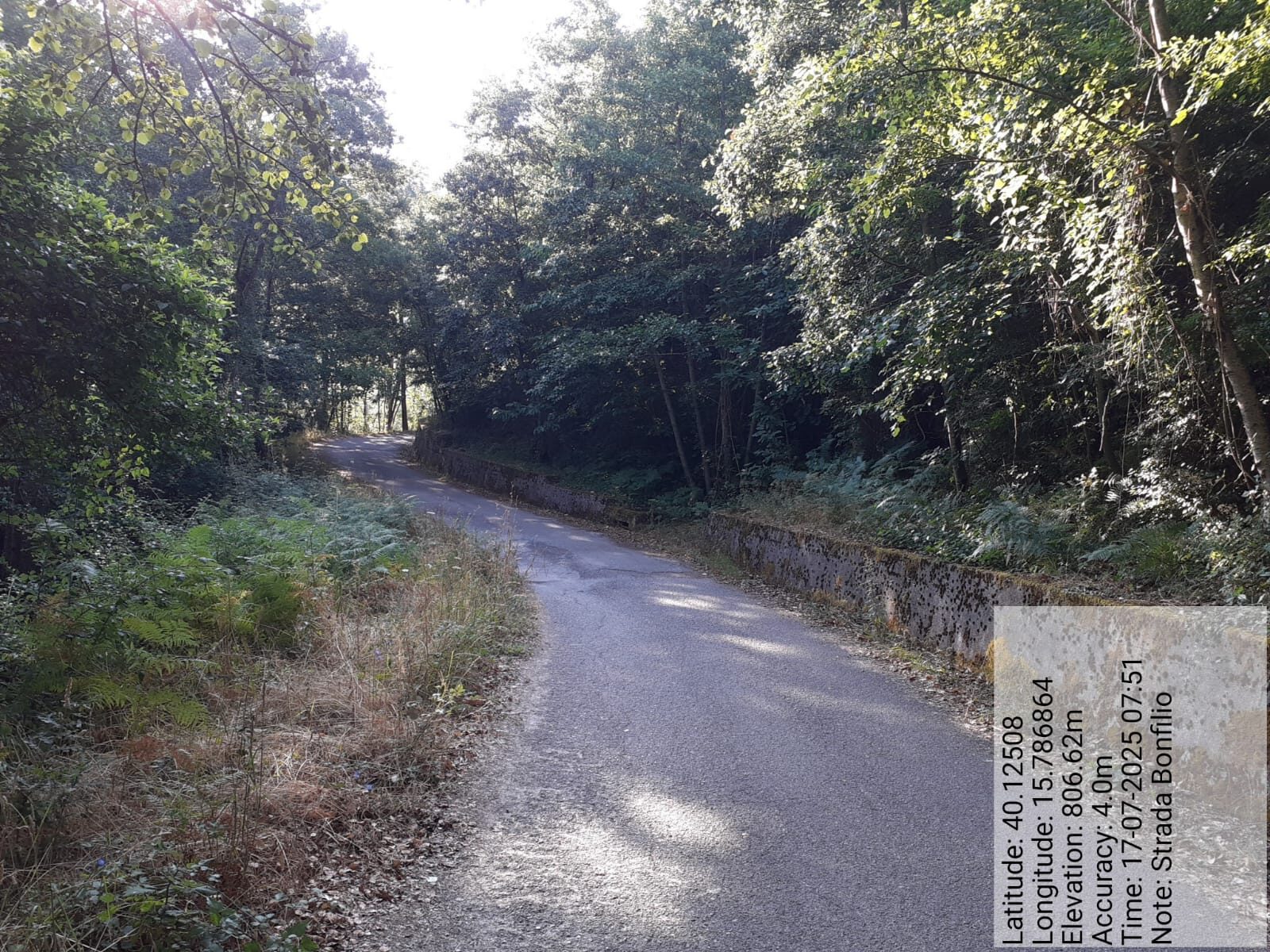 Galleria Fotografica Immagine