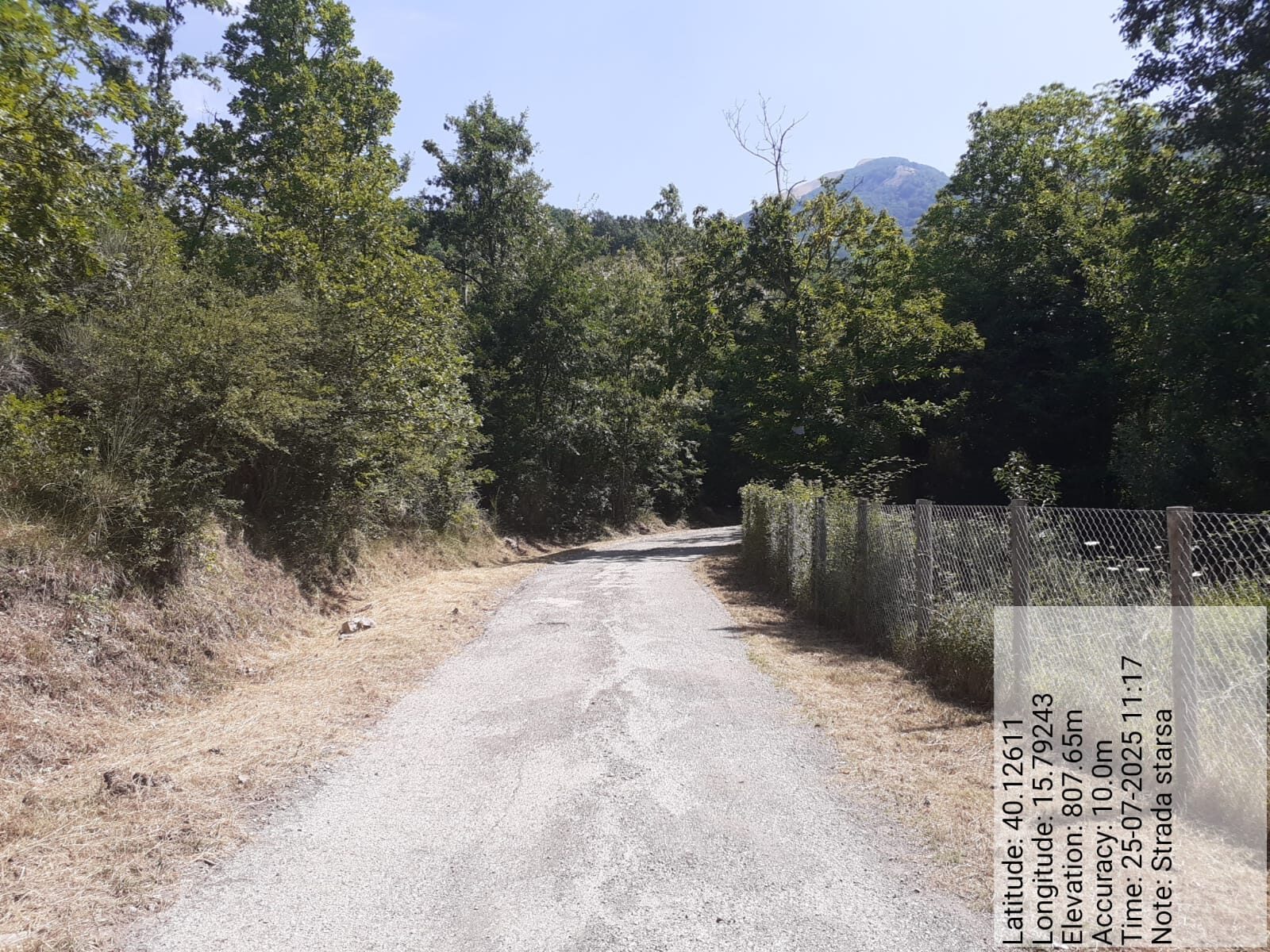 Galleria Fotografica Immagine