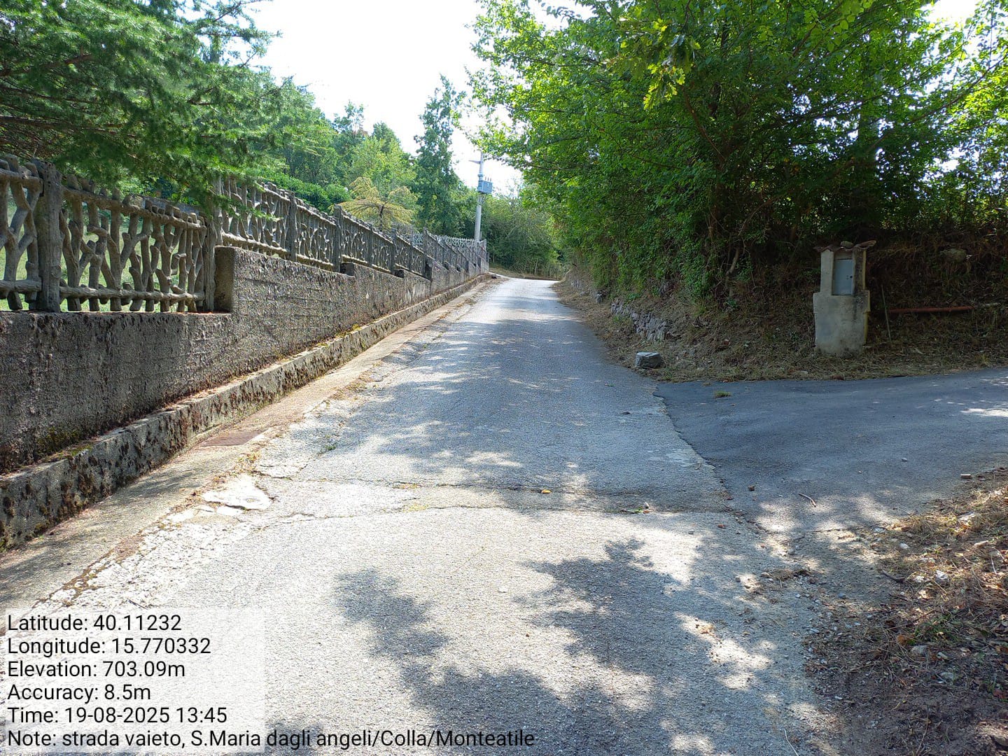 Galleria Fotografica Immagine