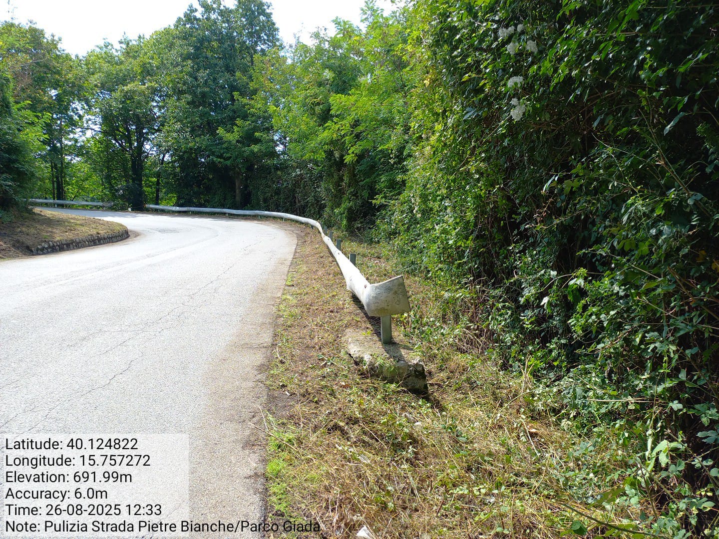 Galleria Fotografica Immagine