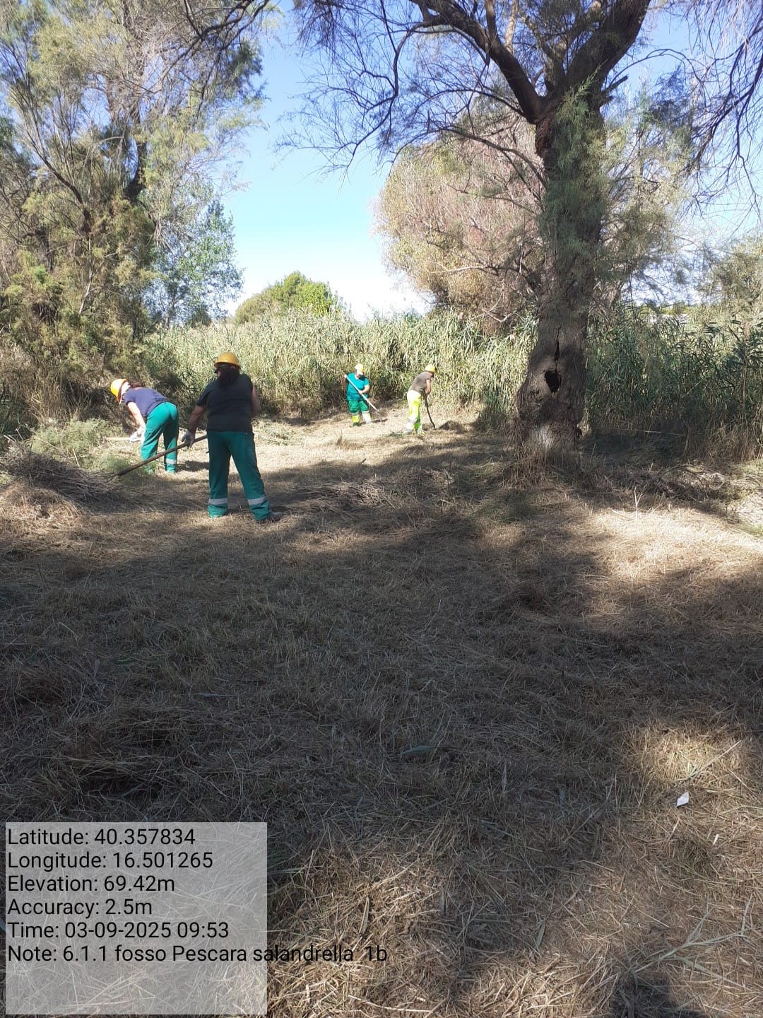 Galleria Fotografica Immagine