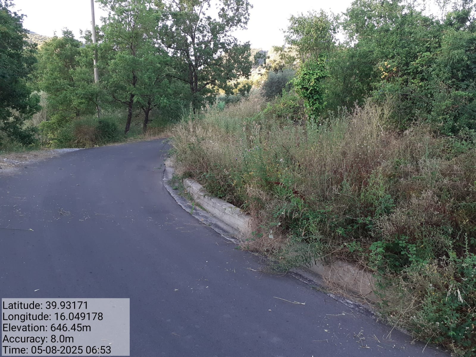 Galleria Fotografica Immagine