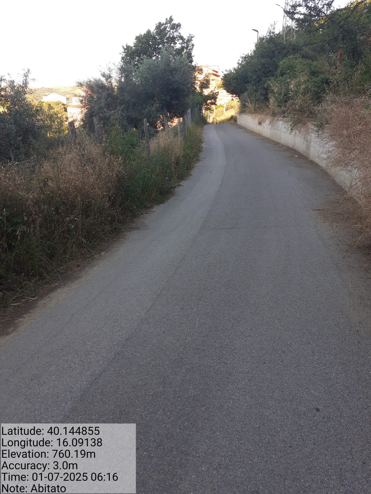 Galleria Fotografica Immagine