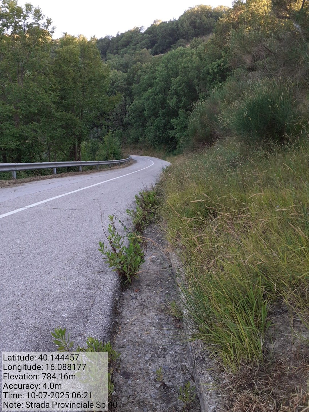 Galleria Fotografica Immagine