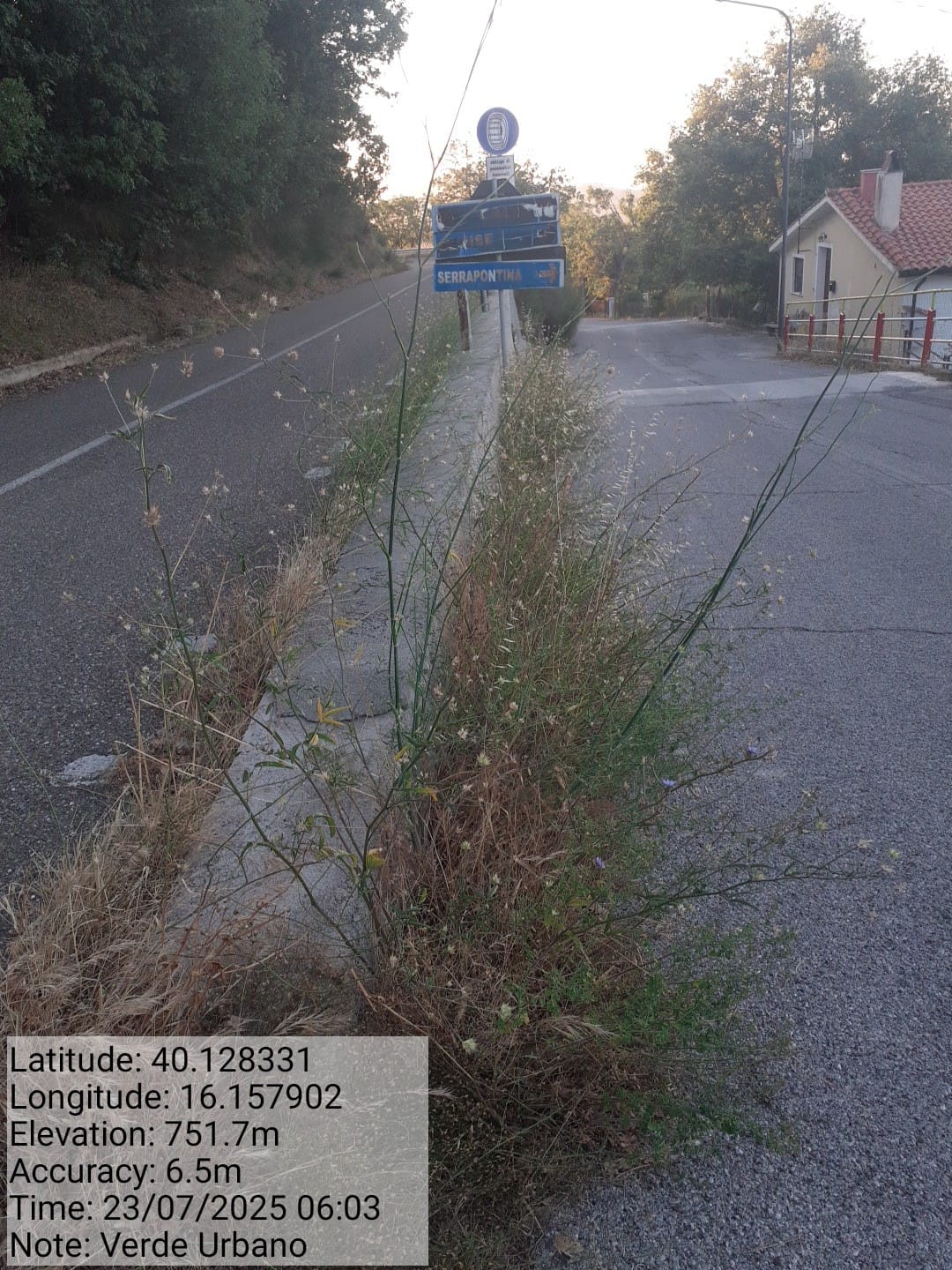 Galleria Fotografica Immagine