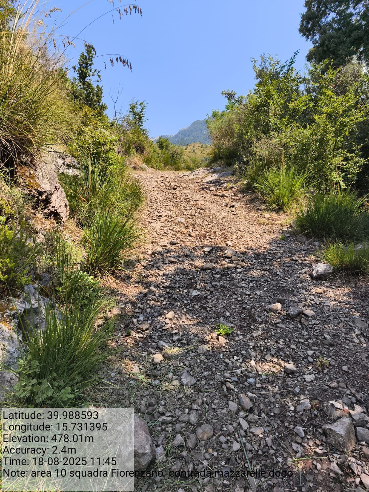 Galleria Fotografica Immagine