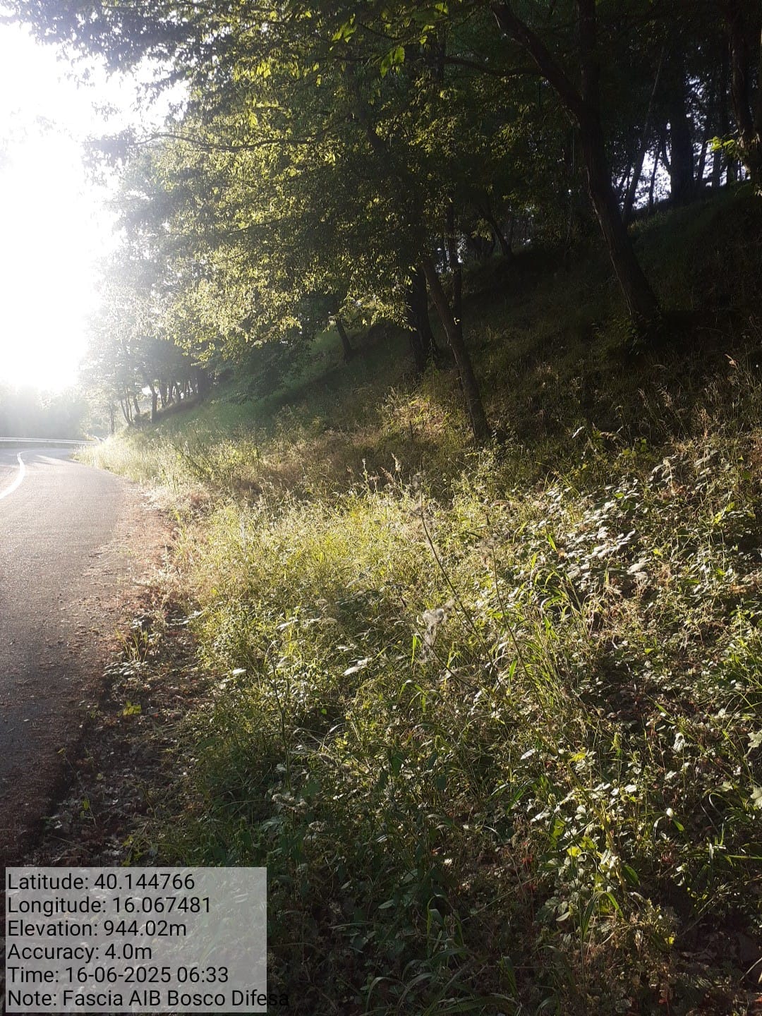 Galleria Fotografica Immagine