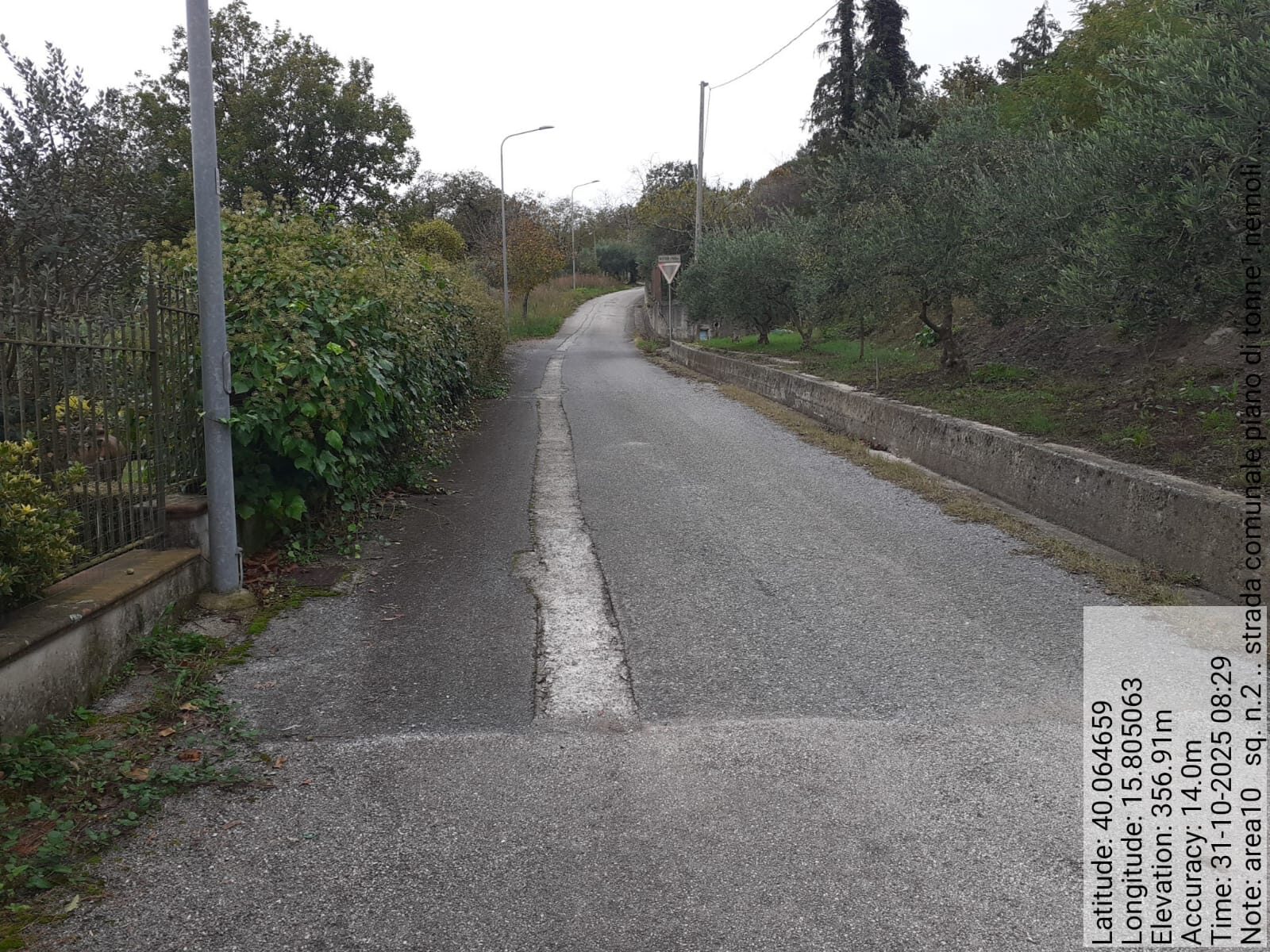 Galleria Fotografica Immagine