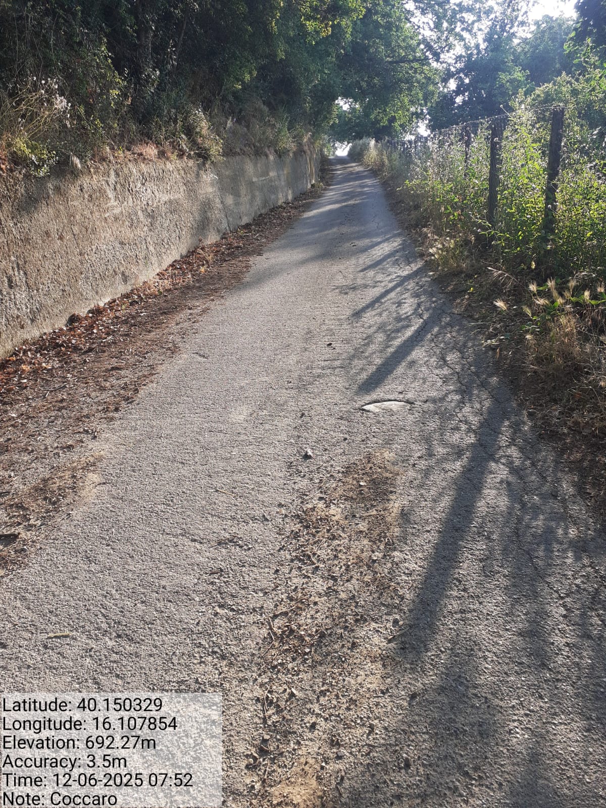 Galleria Fotografica Immagine