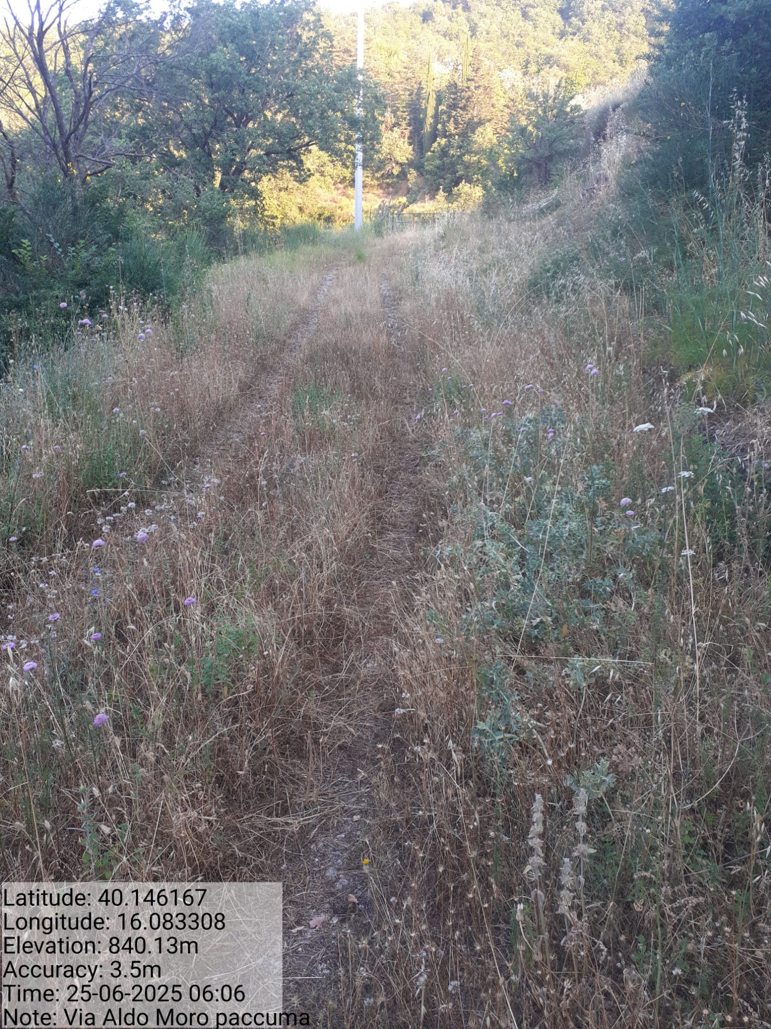 Galleria Fotografica Immagine