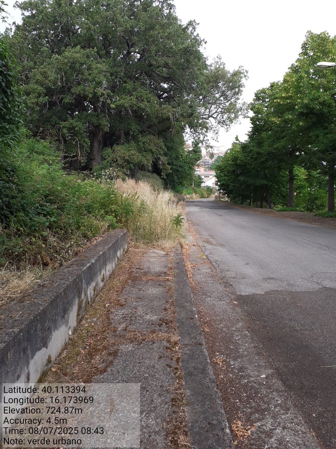 Galleria Fotografica Immagine