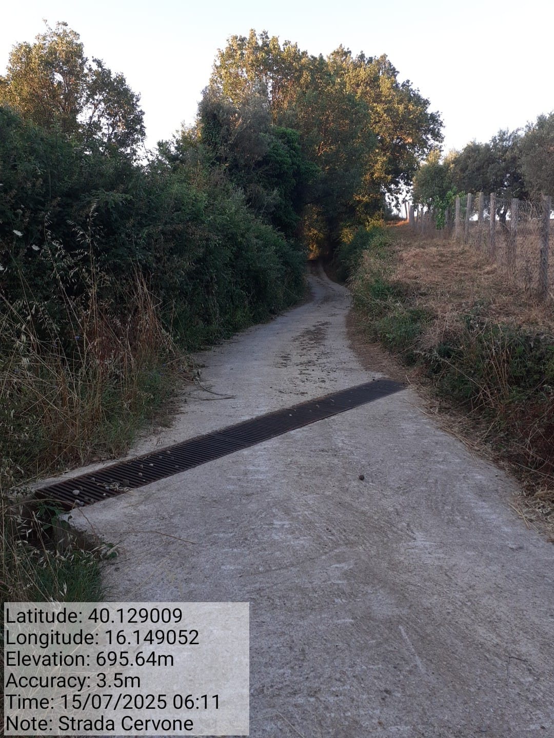 Galleria Fotografica Immagine