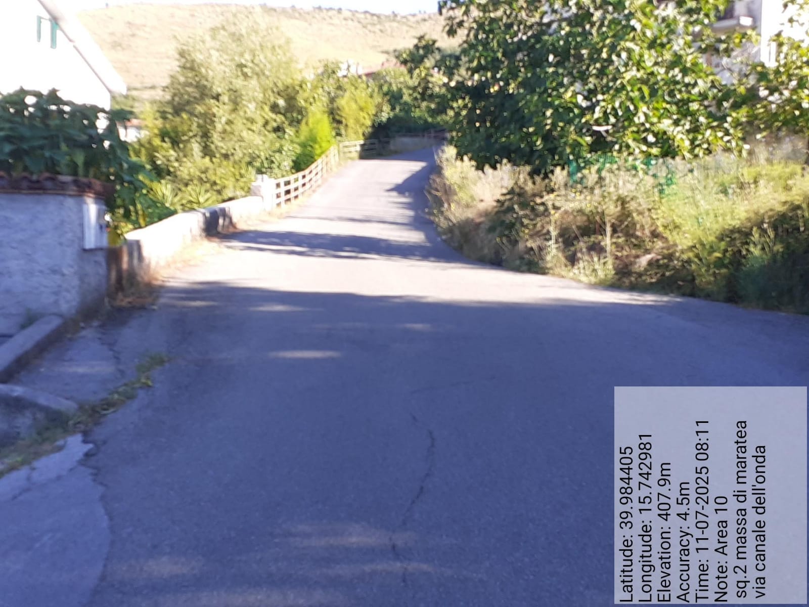 Galleria Fotografica Immagine