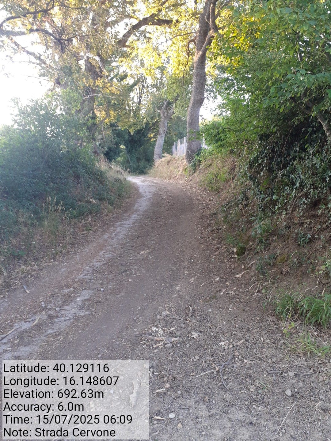 Galleria Fotografica Immagine