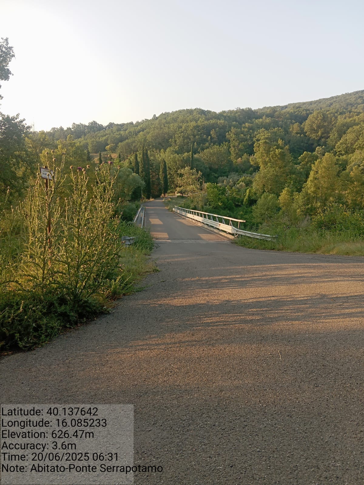 Galleria Fotografica Immagine