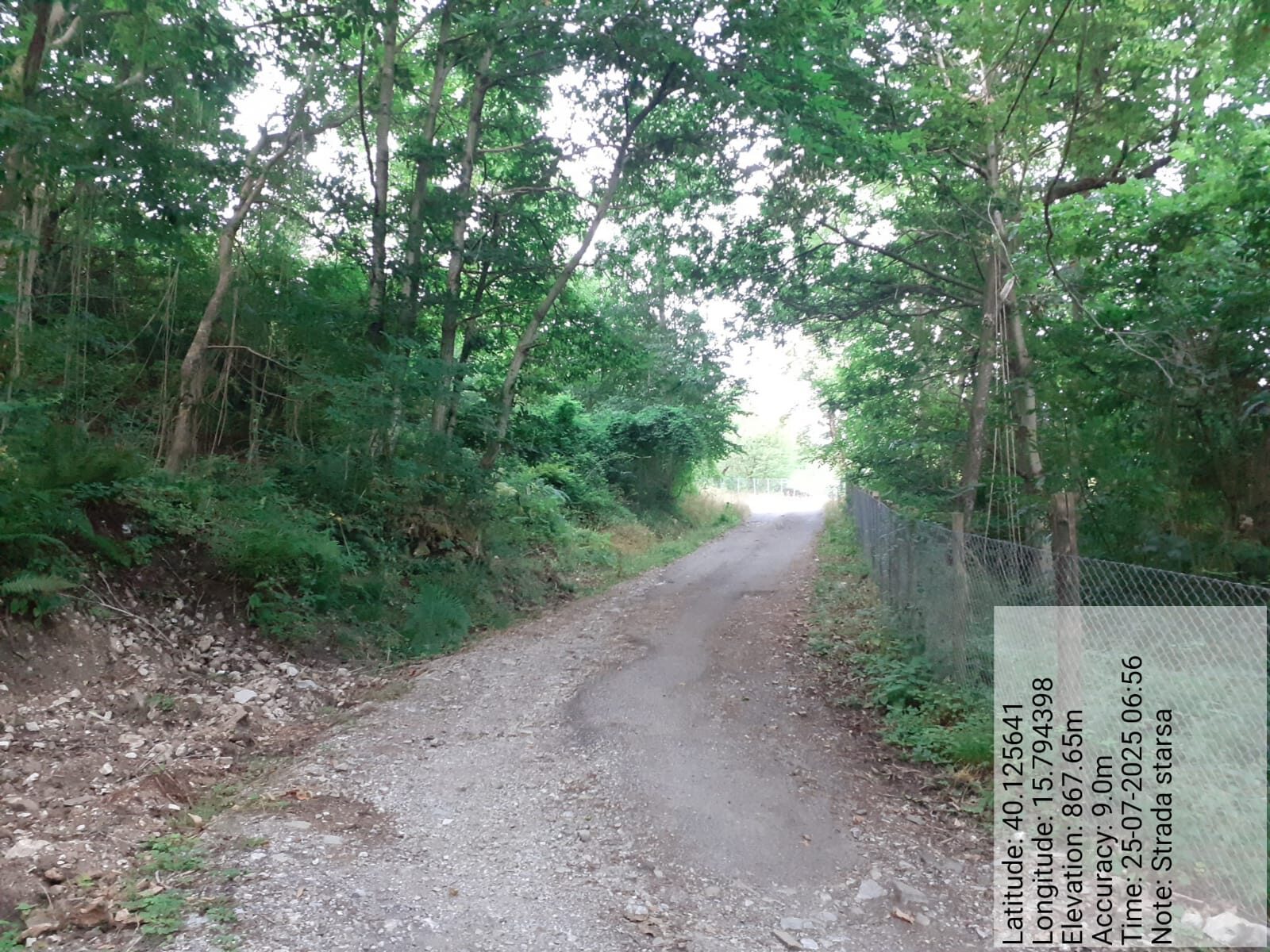 Galleria Fotografica Immagine