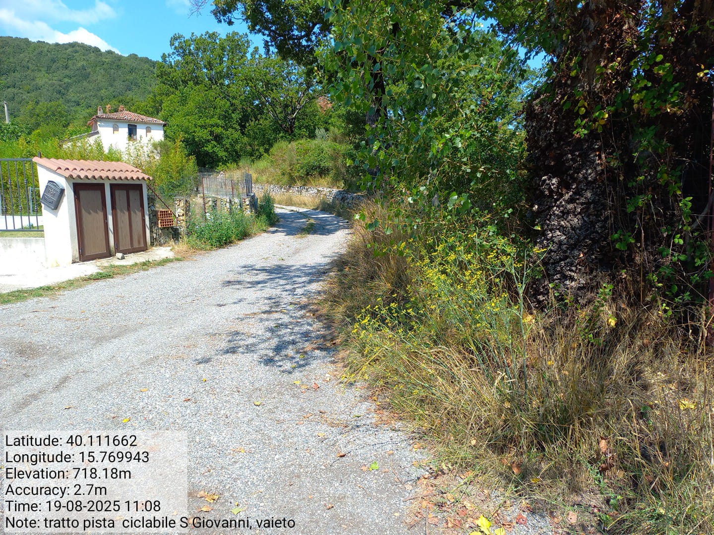 Galleria Fotografica Immagine