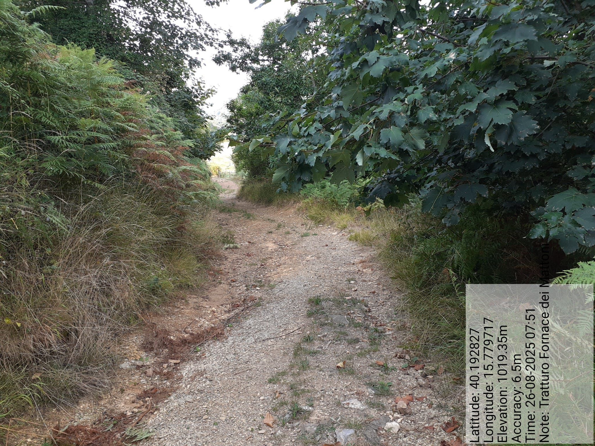 Galleria Fotografica Immagine